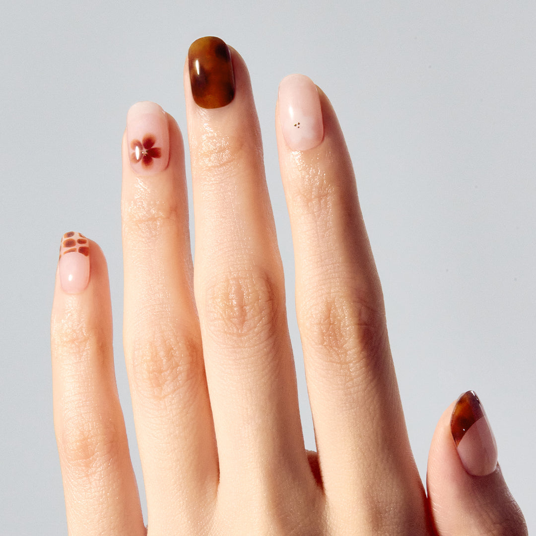 ohora N Tiki Tortoise ND-095-G