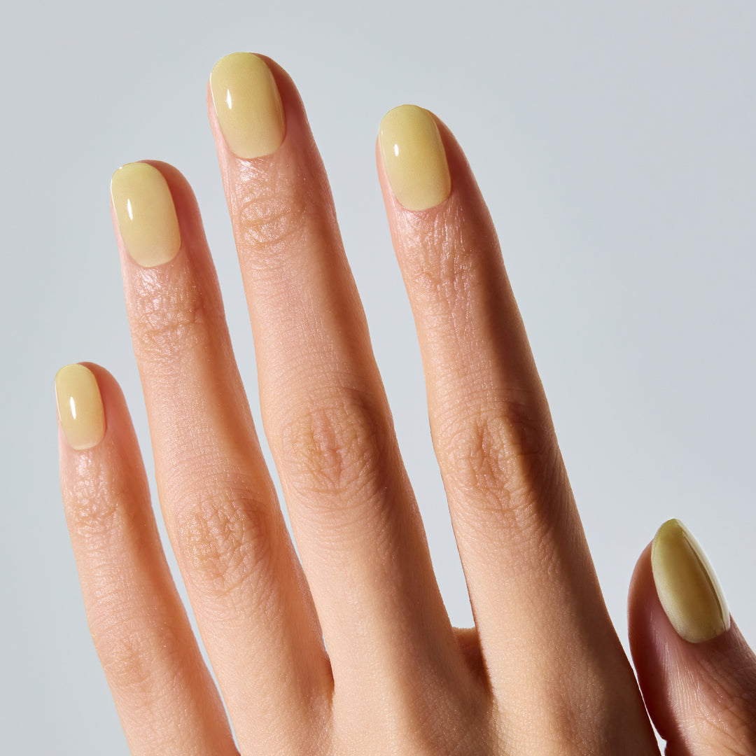 ohora N Honey Veil ND-481