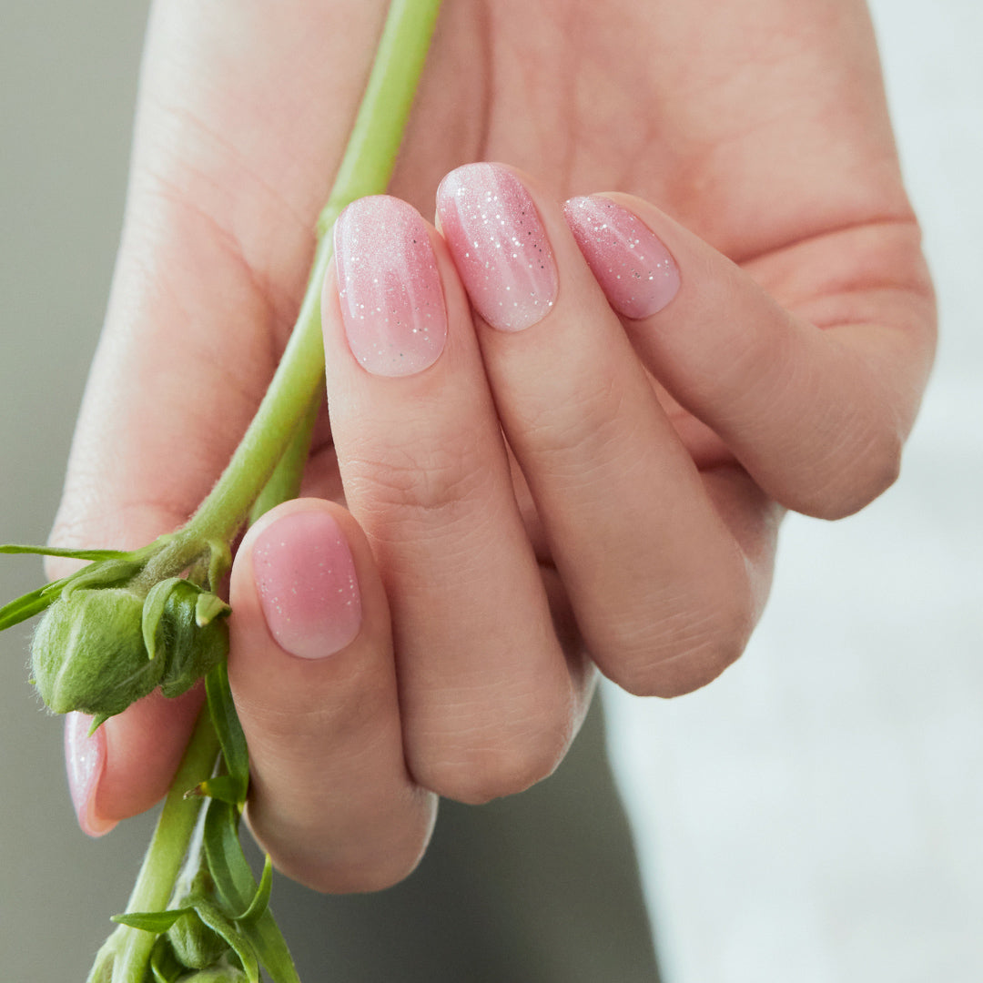 Ohora N Beginning ND-451