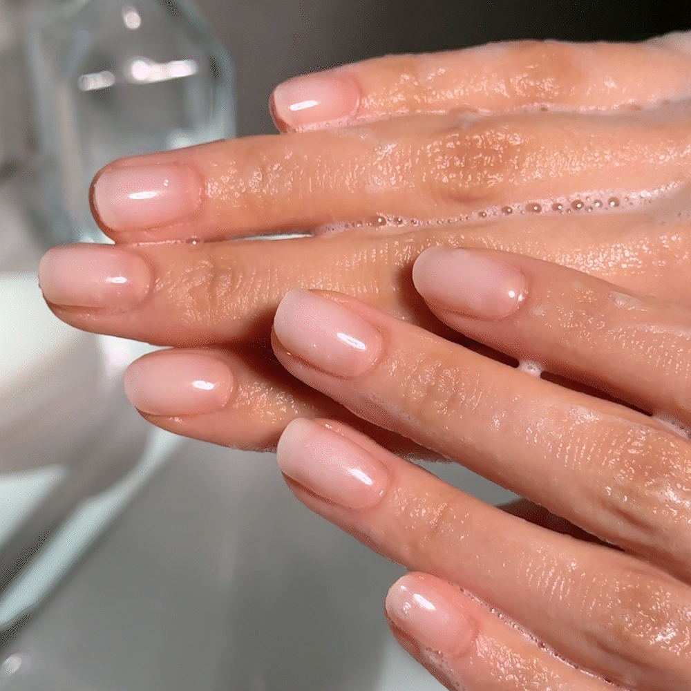 ohora N Coconut Jelly ND-097-G