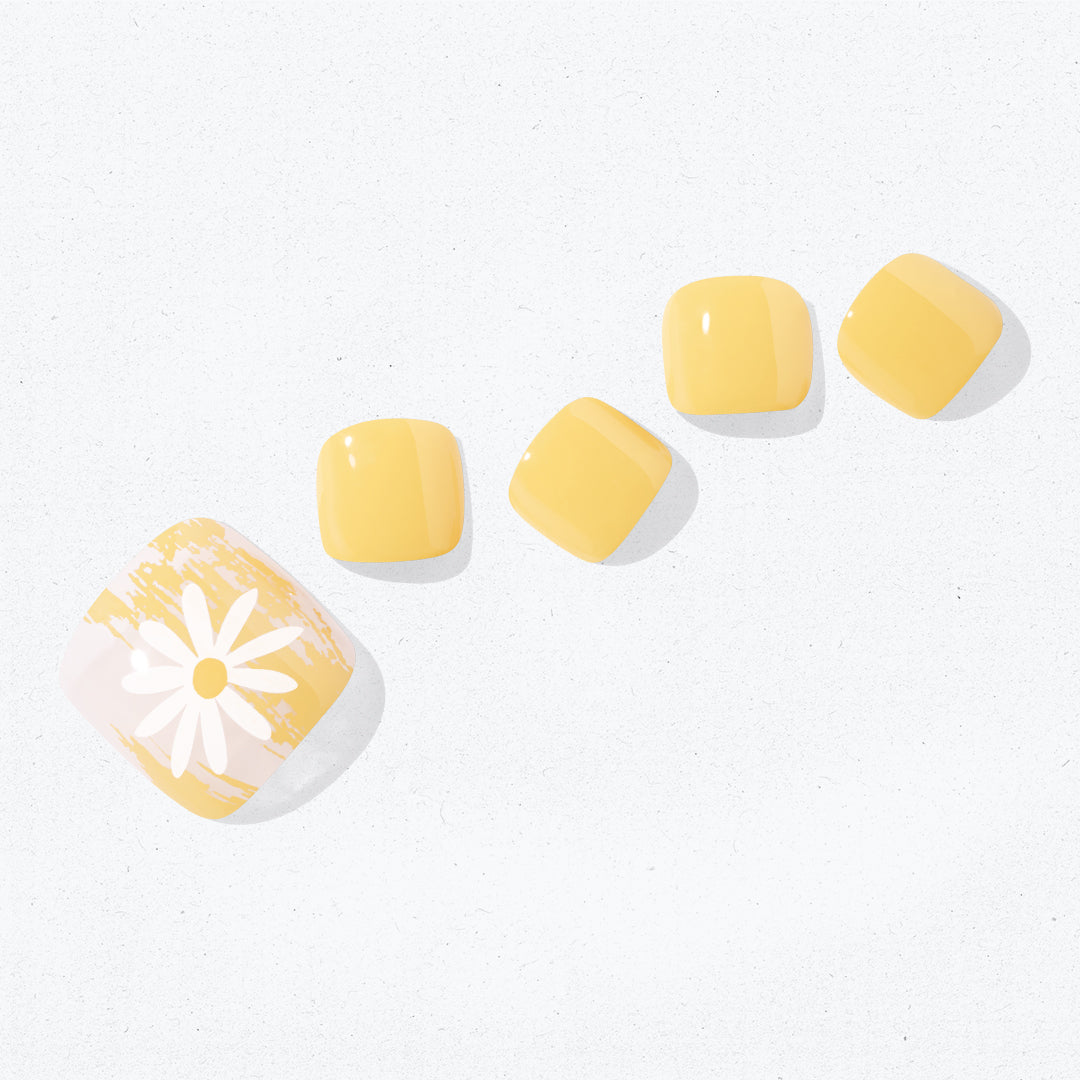 Ohora P Sun Daisy PD-051