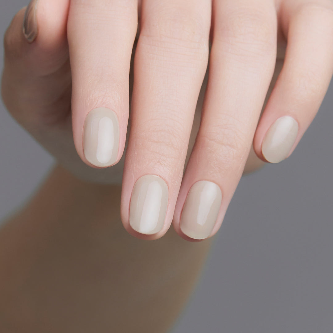 Ohora N Autumn 001 NB-007-J