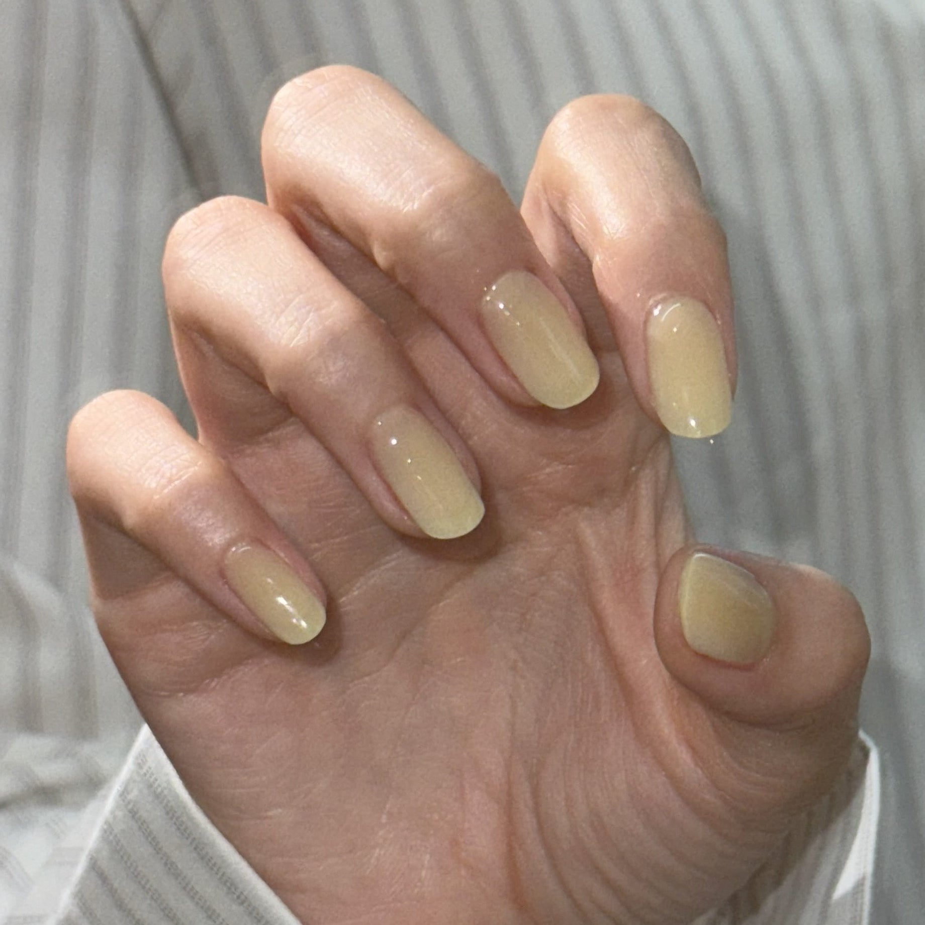 ohora N Honey Veil ND-481