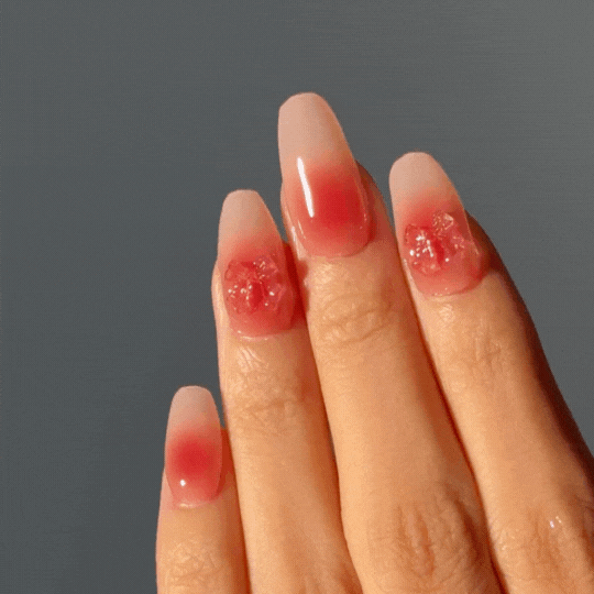 ohora N Dear Gift NP-227