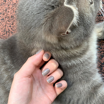 Ohora N Tint Black NB-068