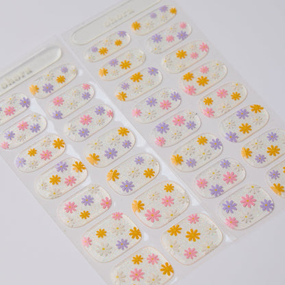 Ohora N Daisy Disco ND-081-G