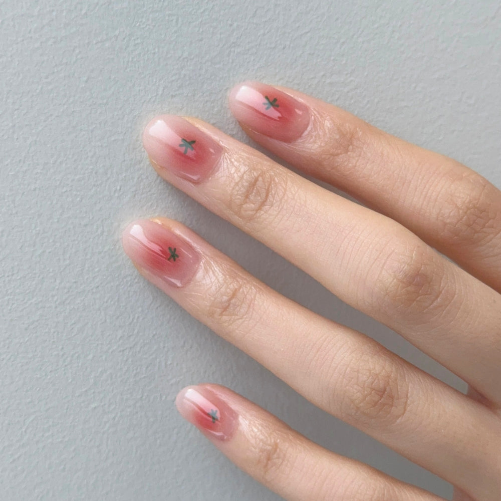 ohora N Petite Tomato ND-497