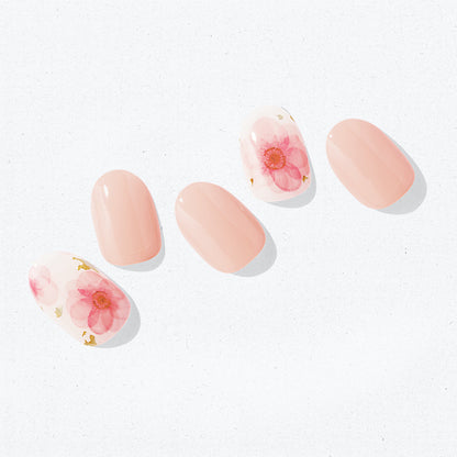 Ohora N Pink Breeze ND-051