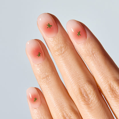 ohora N Petite Tomato ND-497