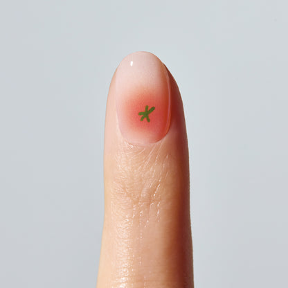ohora N Petite Tomato ND-497