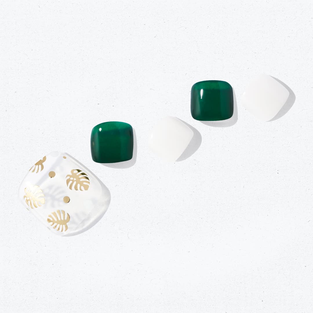Ohora P Monstera PD-025