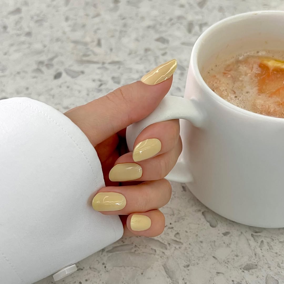 Ohora N Cream Freesia NB-093